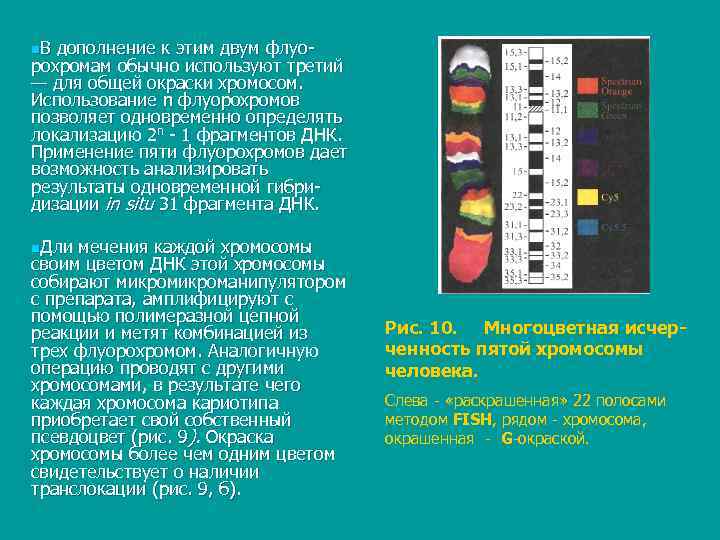 n. В дополнение к этим двум флуо рохромам обычно используют третий — для общей