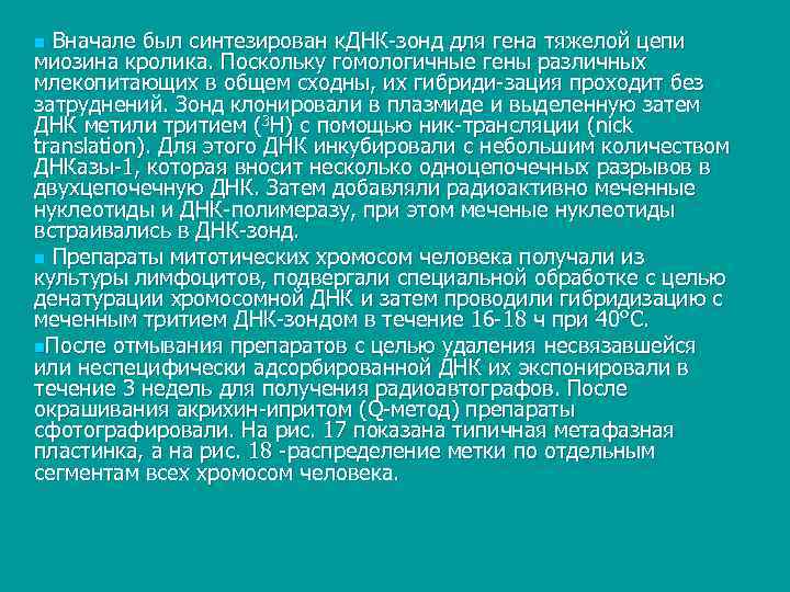 n Вначале был синтезирован к. ДНК зонд для гена тяжелой цепи миозина кролика. Поскольку