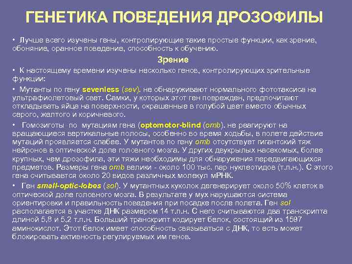   ГЕНЕТИКА ПОВЕДЕНИЯ ДРОЗОФИЛЫ • Лучше всего изучены гены, контролирующие такие простые функции,