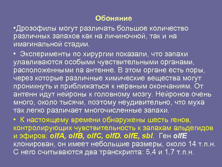      Обоняние • Дрозофилы могут различать большое количество различных запахов