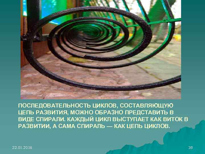 ПОСЛЕДОВАТЕЛЬНОСТЬ ЦИКЛОВ, СОСТАВЛЯЮЩУЮ  ЦЕПЬ РАЗВИТИЯ, МОЖНО ОБРАЗНО ПРЕДСТАВИТЬ В  ВИДЕ СПИРАЛИ.