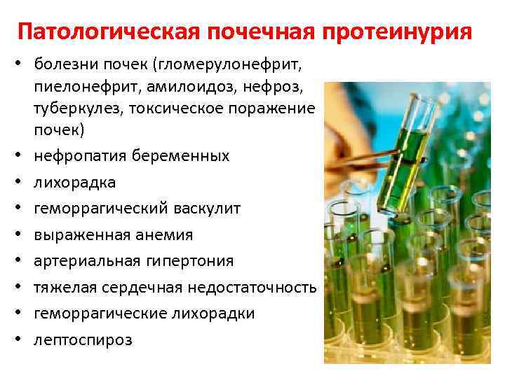 Патологическая почечная протеинурия • болезни почек (гломерулонефрит, пиелонефрит, амилоидоз, нефроз, туберкулез, токсическое поражение 