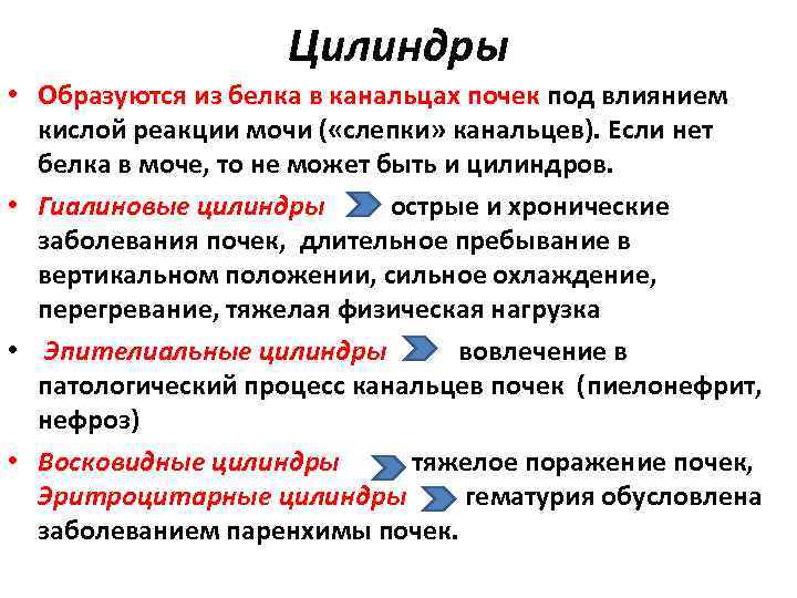      Цилиндры • Образуются из белка в канальцах почек под