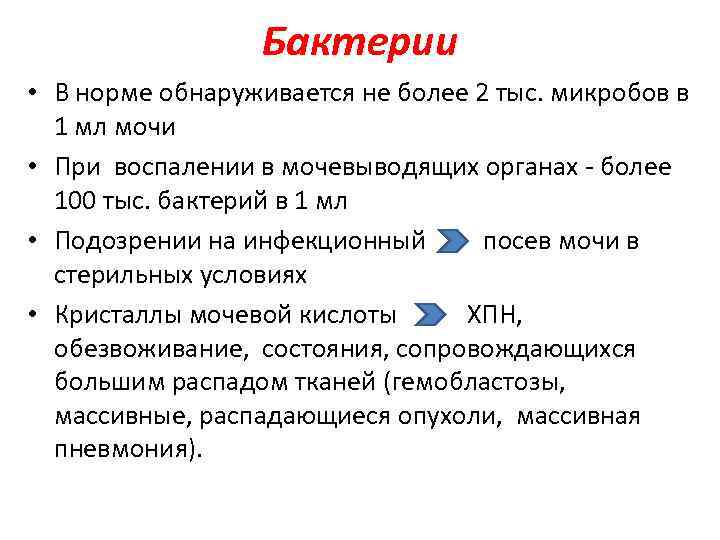    Бактерии • В норме обнаруживается не более 2 тыс. микробов в