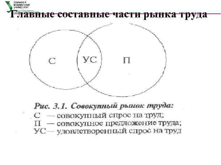 Главные составные части рынка труда 