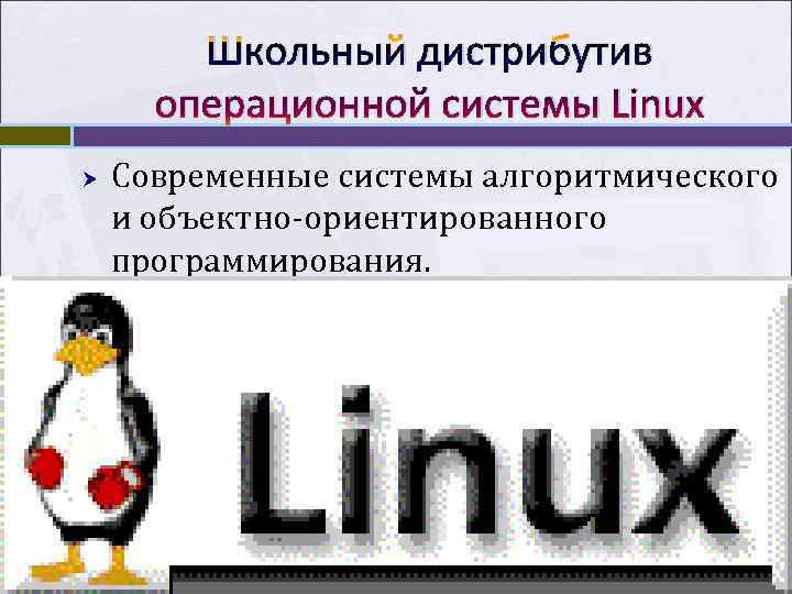   Школьный дистрибутив  операционной системы Linux Современные системы алгоритмического и объектно-ориентированного программирования.