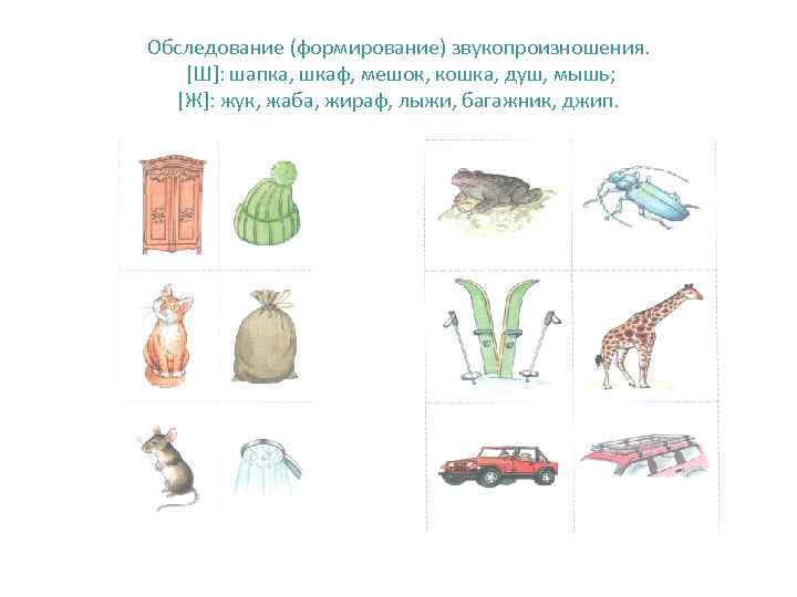 Обследование (формирование) звукопроизношения. [Ш]: шапка, шкаф, мешок, кошка, душ, мышь;  [Ж]: жук, жаба,