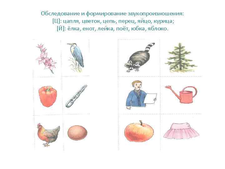 Обследование и формирование звукопроизношения: [Ц]: цапля, цветок, цепь, перец, яйцо, курица;  [Й]: ёлка,
