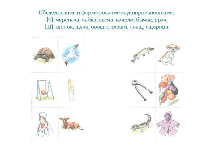 Обследование и формирование звукопроизношения: [Ч]: черепаха, чайка, свеча, качели, бычок, врач;  [Щ]: щенок,