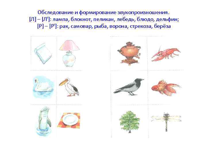   Обследование и формирование звукопроизношения. [Л] – [Л']: лампа, блокнот, пеликан, лебедь, блюдо,