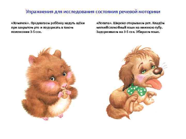   Упражнения для исследования состояния речевой моторики  «Хомячок» . Предлагаем ребёнку надуть