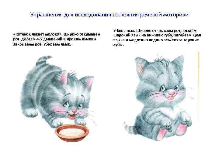   Упражнения для исследования состояния речевой моторики    «Чашечка» . Широко