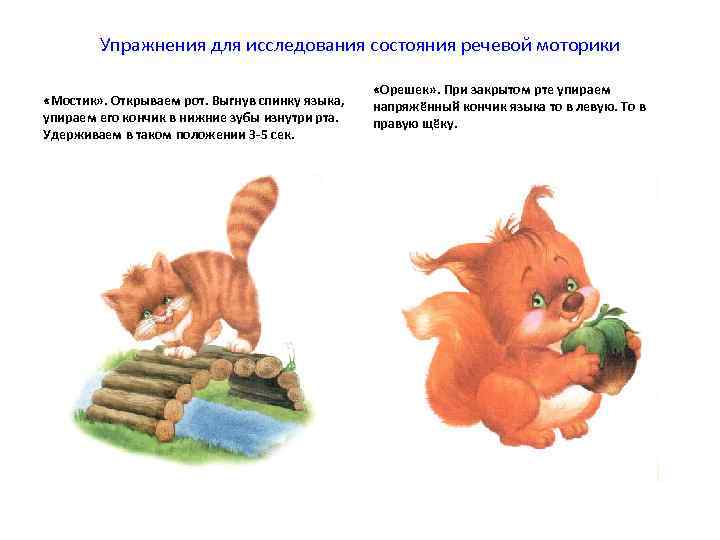   Упражнения для исследования состояния речевой моторики     «Орешек» .