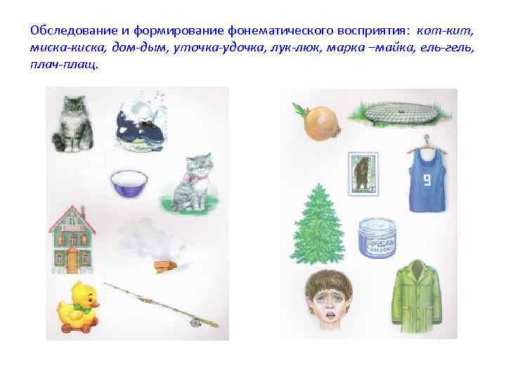 Обследование и формирование фонематического восприятия: кот-кит, миска-киска, дом-дым, уточка-удочка, лук-люк, марка –майка, ель-гель, плач-плащ.