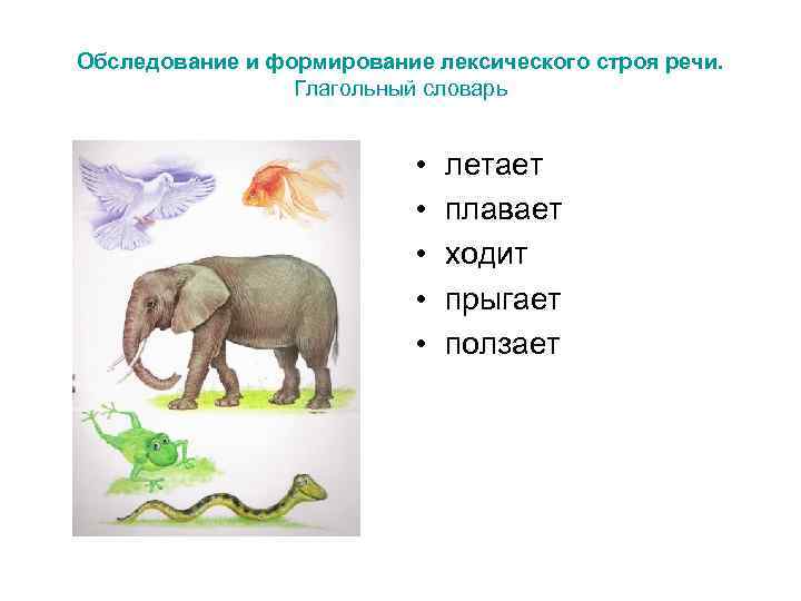Обследование и формирование лексического строя речи.    Глагольный словарь   