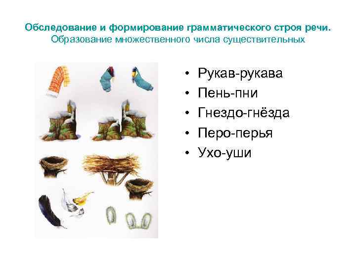Обследование и формирование грамматического строя речи. Образование множественного числа существительных    