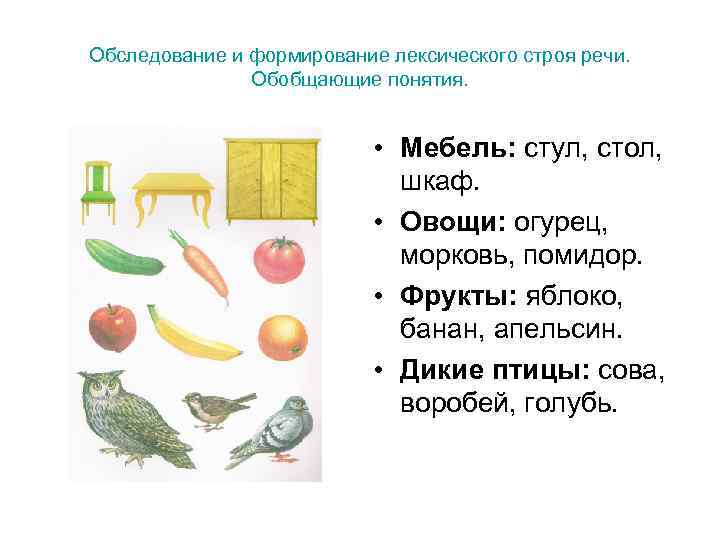 Обследование и формирование лексического строя речи.   Обобщающие понятия.    