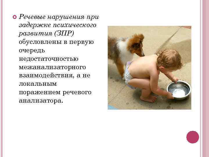   Речевые нарушения при задержке психического развития (ЗПР) обусловлены в первую очередь недостаточностью