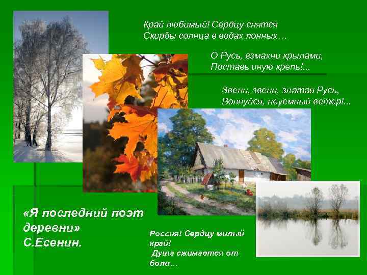      Край любимый! Сердцу снятся     Скирды