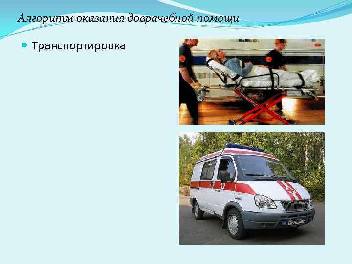 Алгоритм оказания доврачебной помощи Транспортировка Алгоритм оказания доврачебной помощи Транспортировка