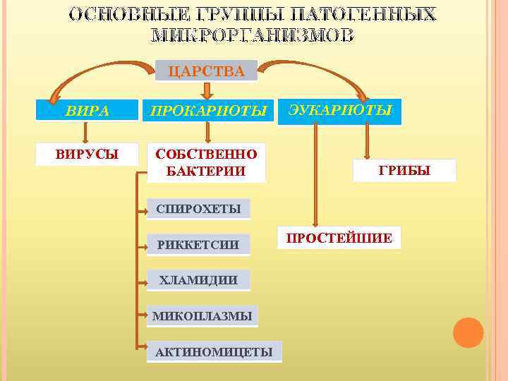  ОСНОВНЫЕ ГРУППЫ ПАТОГЕННЫХ  МИКРОРГАНИЗМОВ  ЦАРСТВА ВИРА ПРОКАРИОТЫ ЭУКАРИОТЫ  ВИРУСЫ 