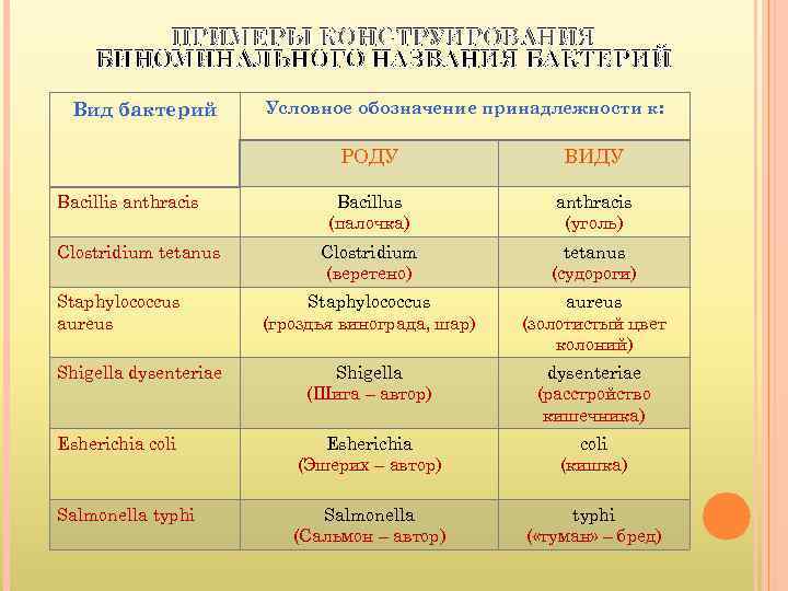   ПРИМЕРЫ КОНСТРУИРОВАНИЯ БИНОМИНАЛЬНОГО НАЗВАНИЯ БАКТЕРИЙ  Вид бактерий   Условное обозначение