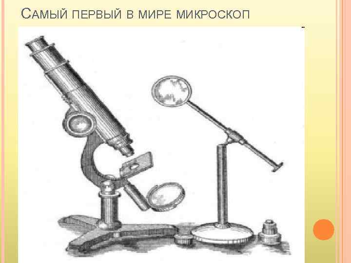 САМЫЙ ПЕРВЫЙ В МИРЕ МИКРОСКОП 