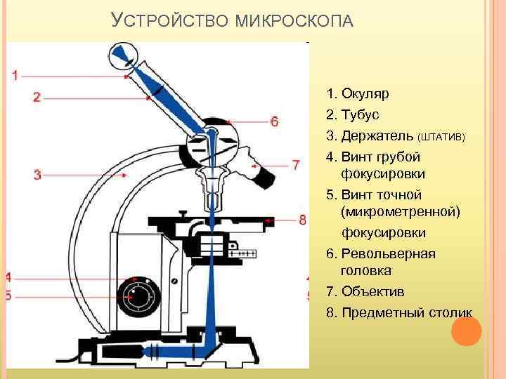 УСТРОЙСТВО МИКРОСКОПА     1. Окуляр    2. Тубус 