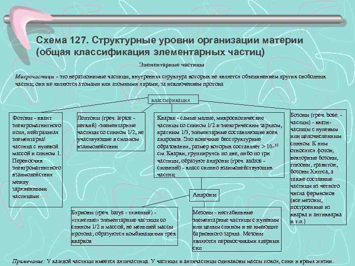   Схема 127. Структурные уровни организации материи   (общая классификация элементарных частиц)