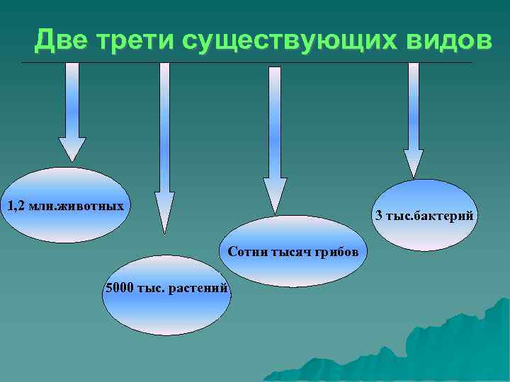   Две трети существующих видов 1, 2 млн. животных    