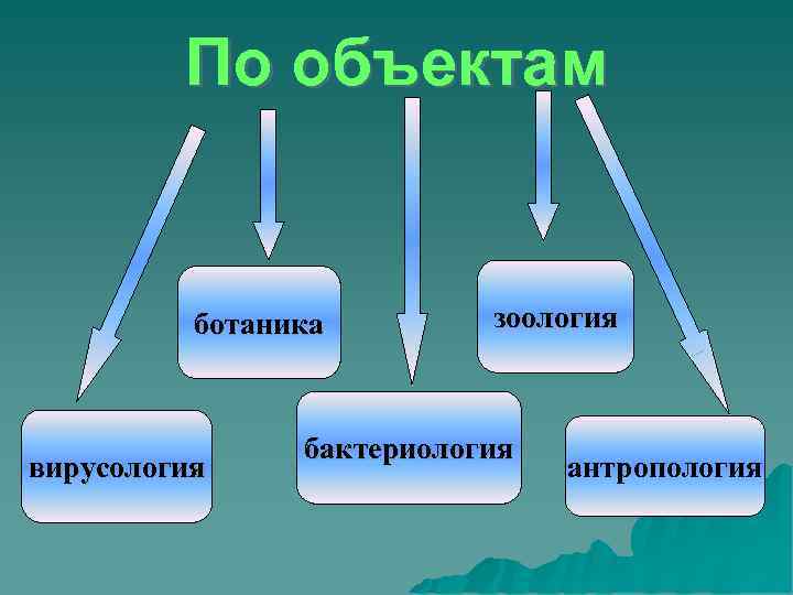    По объектам   ботаника   зоология   