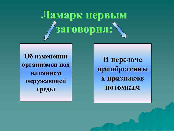  Ламарк первым  заговорил:  Об изменении И передаче организмов под  влиянием