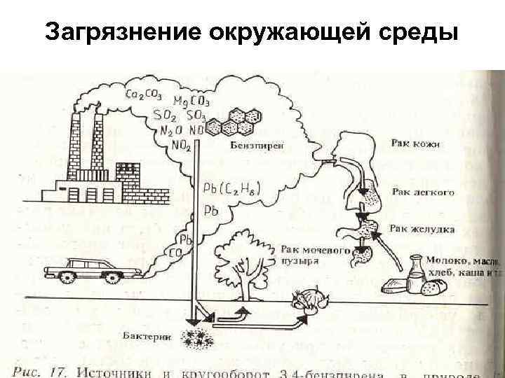 Загрязнение окружающей среды 