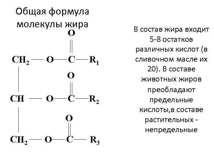 Общая формула жиров