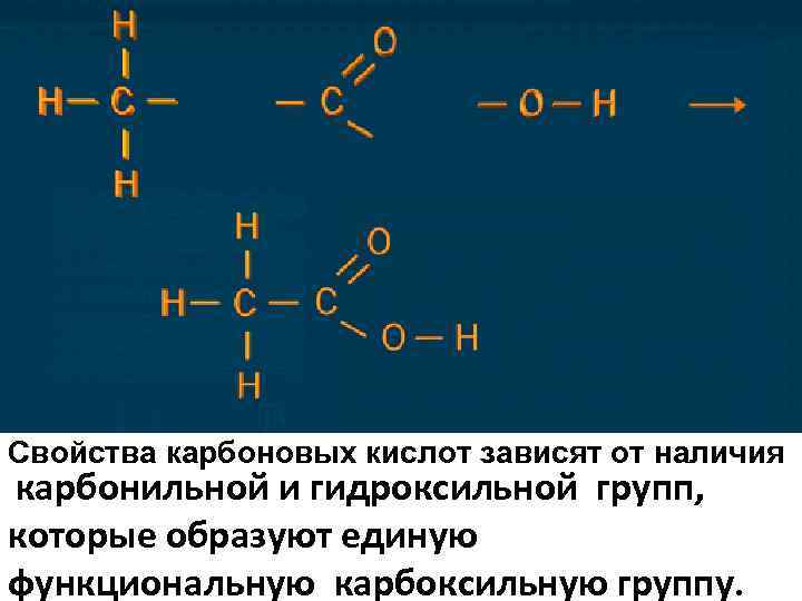 Свойства карбоновых кислот зависят от наличия карбонильной и гидроксильной групп, которые образуют единую функциональную