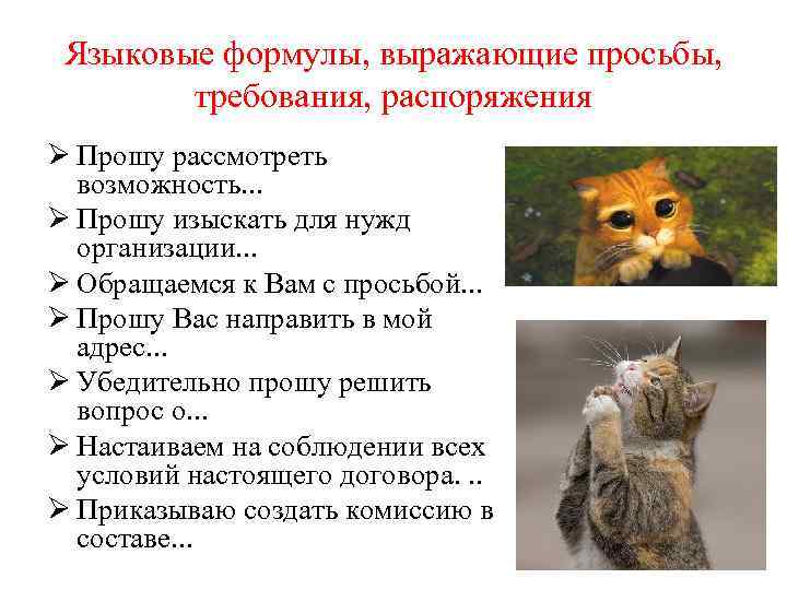  Языковые формулы, выражающие просьбы,  требования, распоряжения Ø Прошу рассмотреть  возможность. .
