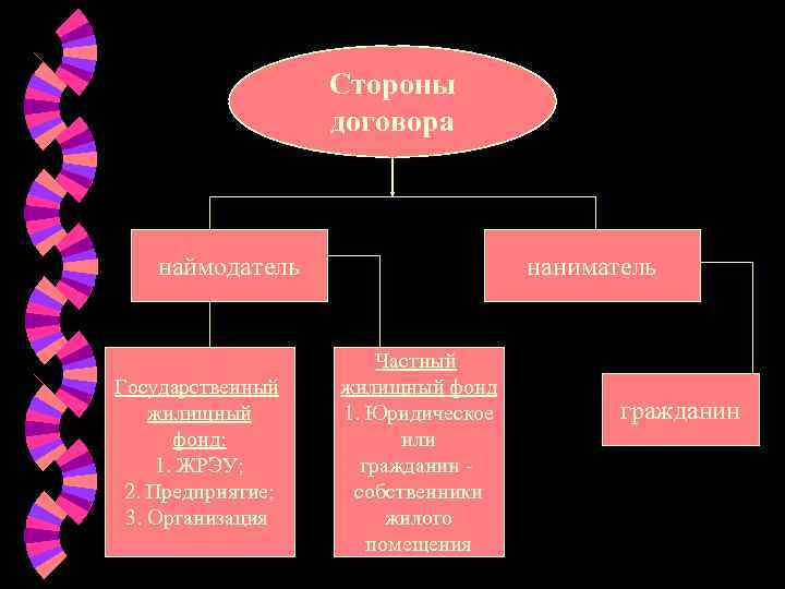     Стороны    договора  наймодатель   