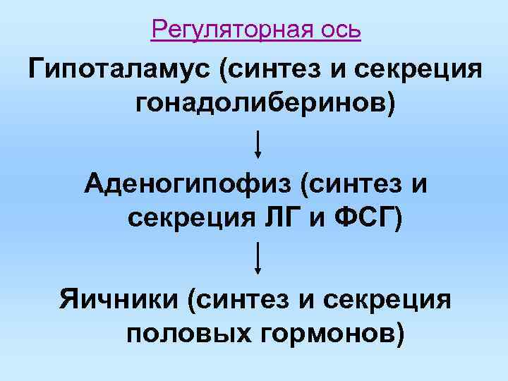 Регуляторная ось Гипоталамус (синтез и секреция гонадолиберинов) Аденогипофиз (синтез и секреция Регуляторная ось Гипоталамус (синтез и секреция гонадолиберинов) Аденогипофиз (синтез и секреция