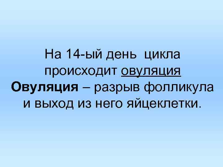 На 14 -ый день цикла происходит овуляция Овуляция – разрыв фолликула и На 14 -ый день цикла происходит овуляция Овуляция – разрыв фолликула и