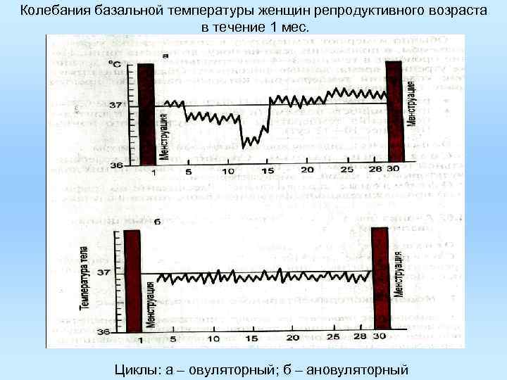 Колебания базальной температуры женщин репродуктивного возраста в течение 1 мес. Колебания базальной температуры женщин репродуктивного возраста в течение 1 мес.