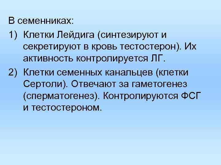 В семенниках: 1) Клетки Лейдига (синтезируют и секретируют в кровь тестостерон). Их В семенниках: 1) Клетки Лейдига (синтезируют и секретируют в кровь тестостерон). Их