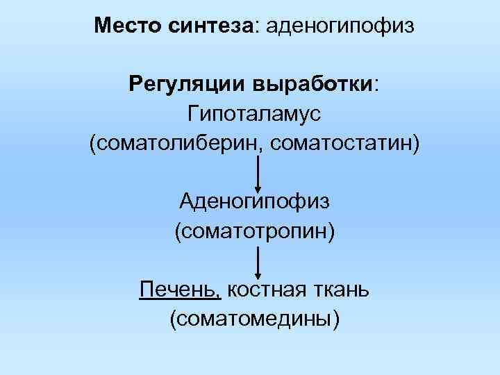 Место синтеза: аденогипофиз Регуляции выработки: Гипоталамус (соматолиберин, соматостатин) Аденогипофиз (соматотропин) Место синтеза: аденогипофиз Регуляции выработки: Гипоталамус (соматолиберин, соматостатин) Аденогипофиз (соматотропин)
