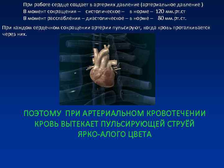 При работе сердце создает в артериях давление (артериальное давление ) В При работе сердце создает в артериях давление (артериальное давление ) В