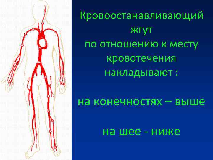 Кровоостанавливающий жгут по отношению к месту кровотечения накладывают : на конечностях Кровоостанавливающий жгут по отношению к месту кровотечения накладывают : на конечностях
