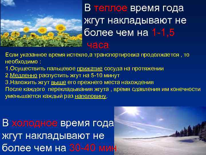 В теплое время года В теплое время года