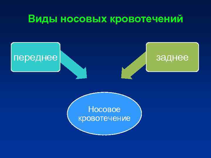 Виды носовых кровотечений переднее заднее Носовое Виды носовых кровотечений переднее заднее Носовое