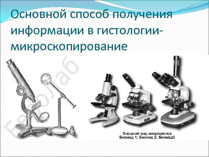 Основной способ получения информации в гистологии- микроскопирование 