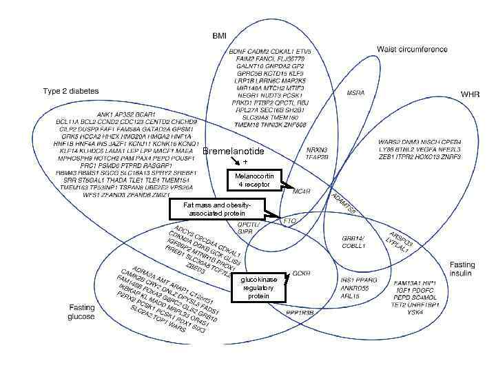  Bremelanotide   +    Melanocortin   4 receptor 