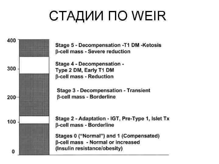 СТАДИИ ПО WEIR 