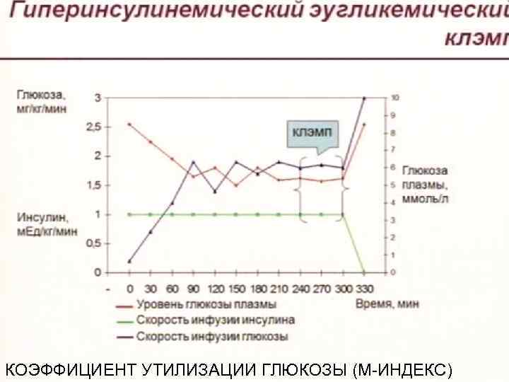 КОЭФФИЦИЕНТ УТИЛИЗАЦИИ ГЛЮКОЗЫ (М-ИНДЕКС) 